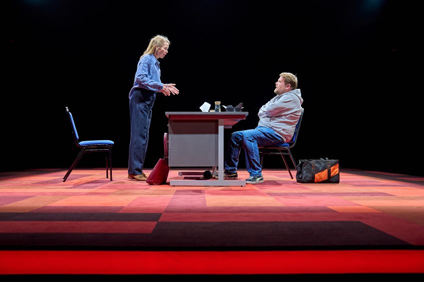 Robert Tanitch reviews Joe Penhall’s The Constituent at The Old Vic, London